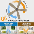 WINGBO 48" Flush Mount DC Ceiling Fans without Lights, 5 Carved Solid Wood Blades, 6-Speed Reversible DC Motor, Low Profile Hugger Ceiling Fan No Light for Living Room Bedroom Patio, Graphite and Gray