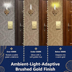 LIDER Brushed Gold Minimalist Design Decorator Switch, Frameless Paddle Wall Light Switch, On/Off Rocker Switch, Single Pole, Residential Grade, UL Listed, 3 Wire, 15A 120-277VAC